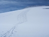 2007_0414Trif0040